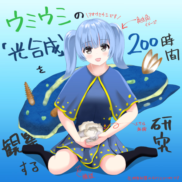 アオウミウシ