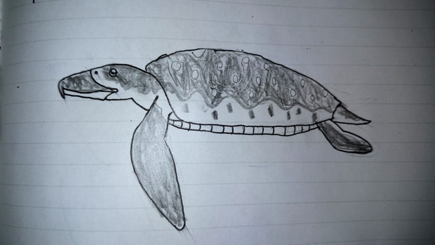 【未来生物】海洋の放浪者タートルホエール