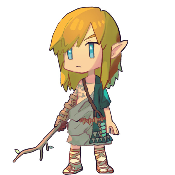 ゼルダの伝説 ティアーズオブザキングダム リンク 初期カラー