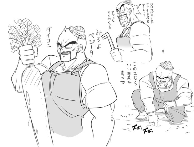 農家ナッパ概念