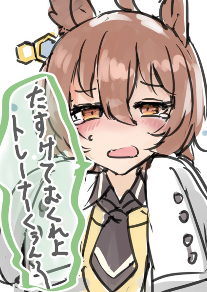 結局だれにも信じてもらえないタキオンさん / sinzan さんの