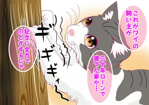 爪とぎ職人の朝は早い！！