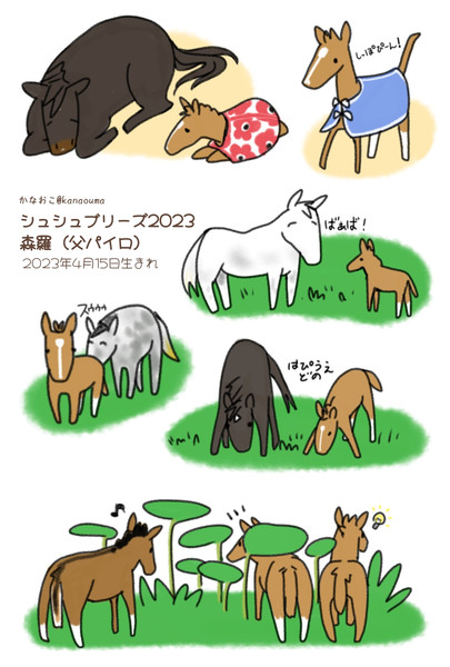 森羅くんが生まれてから離乳までの日々