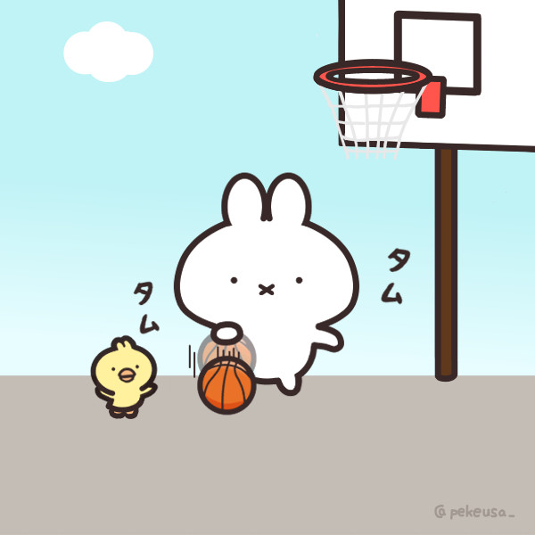 バスケの日