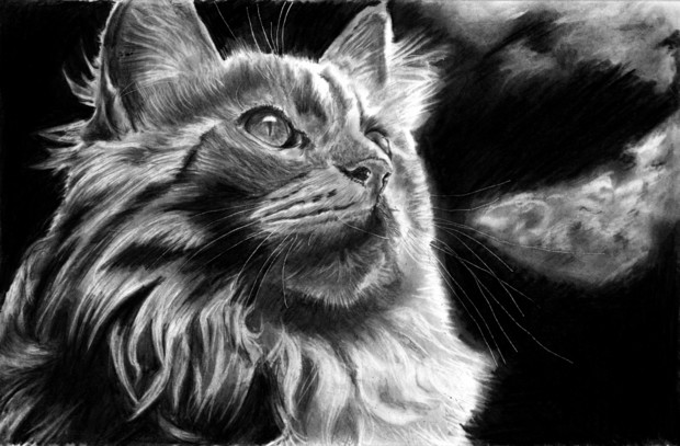 月明かりに照らされて / ミストイ さんのイラスト ニコニコ静画 (イラスト)