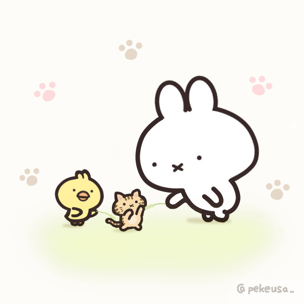 ネコの日