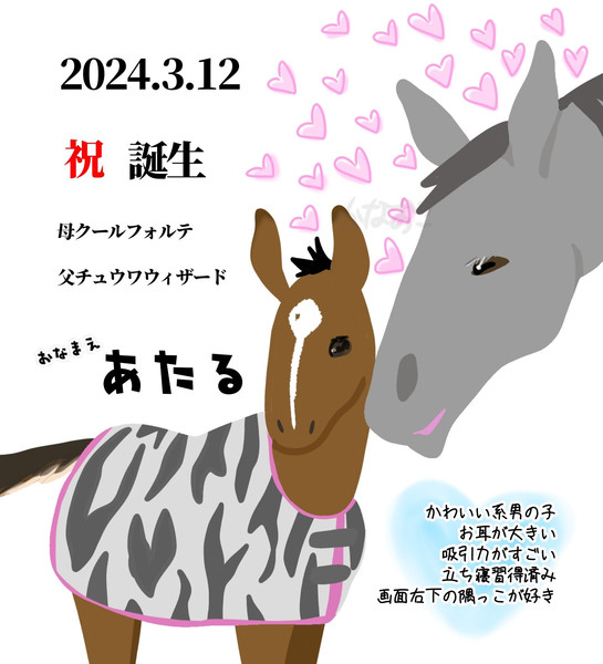 くぅちゃん出産おめでとう