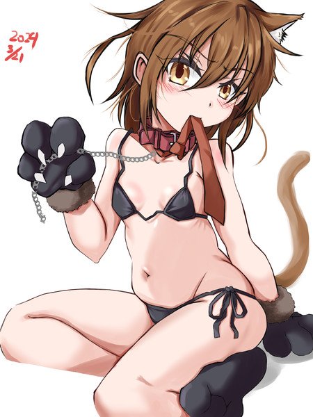わかばにゃんこ