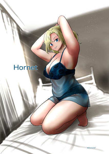 ワンドロホーネット
