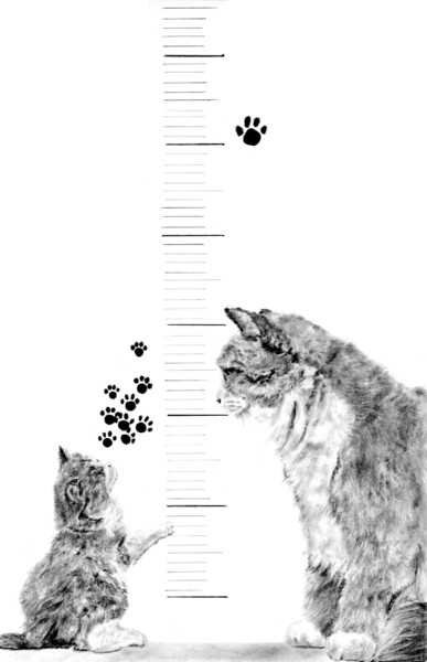 負けず嫌い