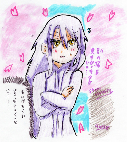 桜を見に来たツンデレさん