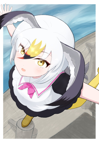 ウミネコ