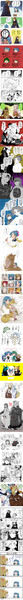 つめこみふうふ