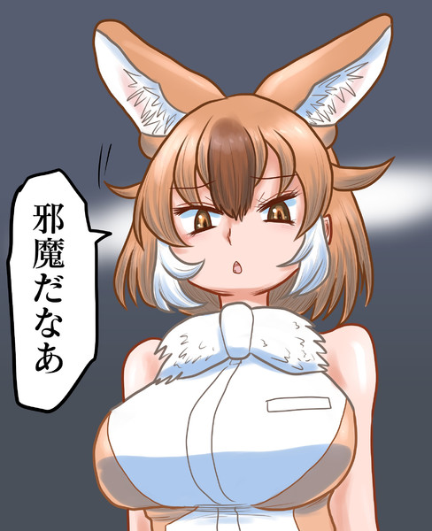 ひとことどるちゃ
