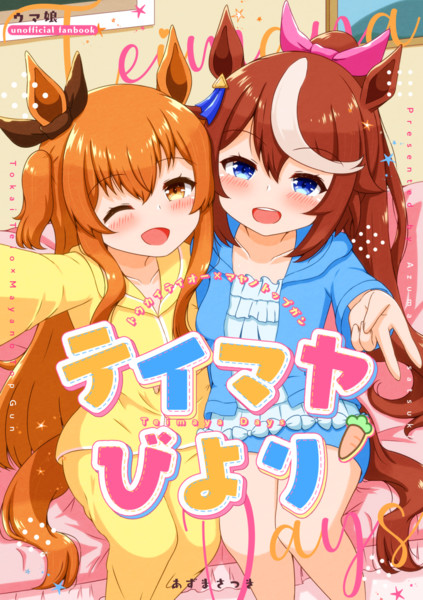 C104新刊表紙