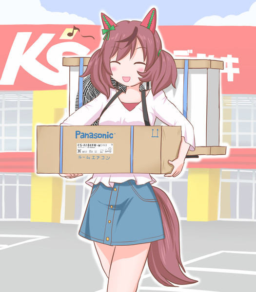エアコンを買ったネイチャ