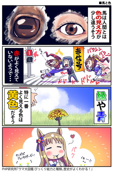 【ウマ娘】色の見え方【目】