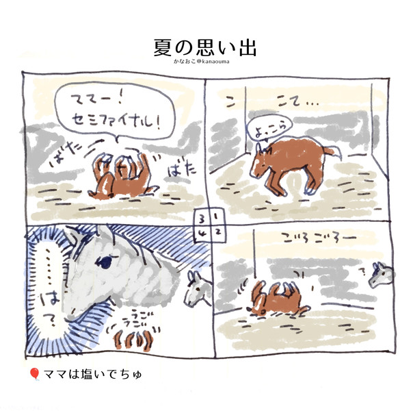 仔馬がごろごろする様子はとても可愛い