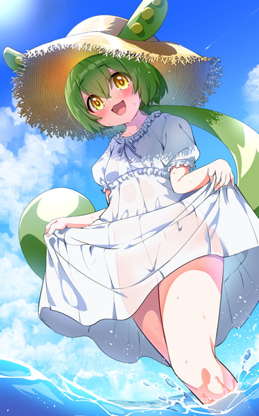 夏のお嬢様ずんだもん