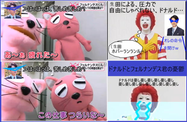 ドナルドとフェルナンデス君の憂鬱