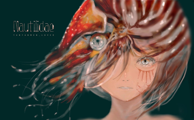 オウムガイの子