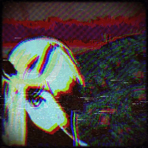 0011