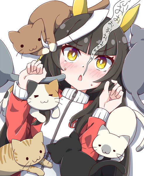 猫まみれなライトオちゃん