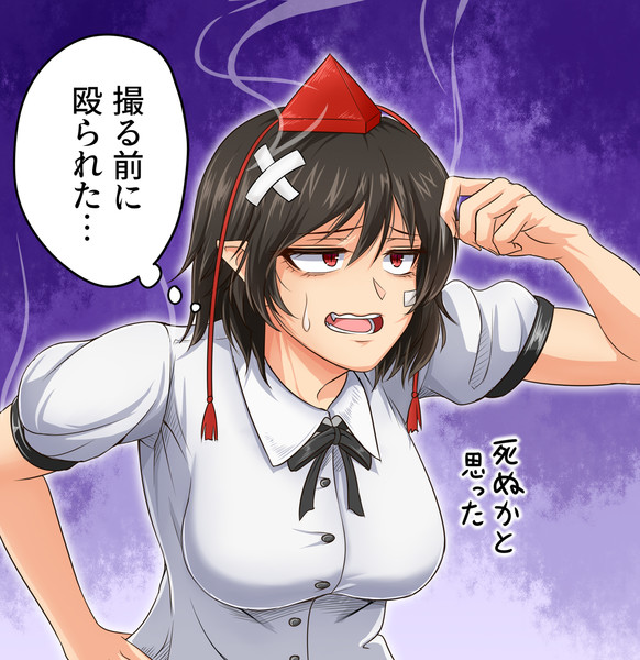 何か悪さした日の射命丸
