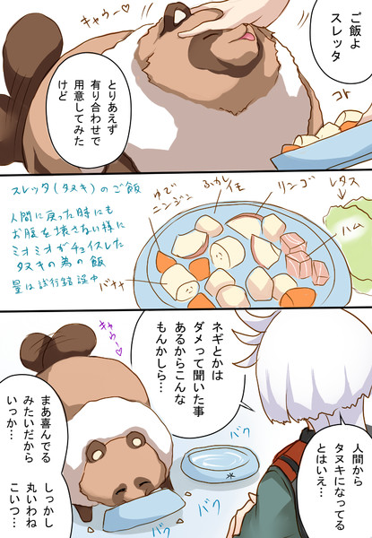 復活のタヌキとミオミオ３
