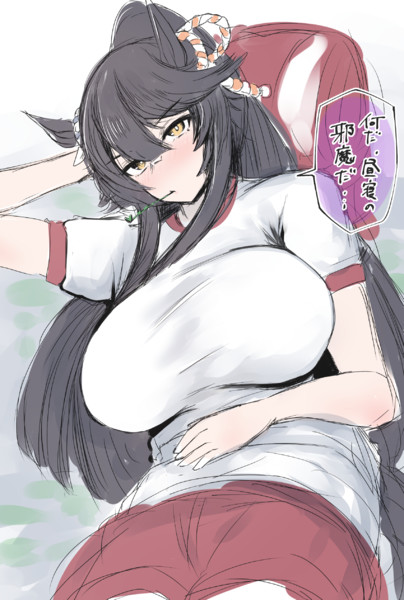 ナリタブライアン