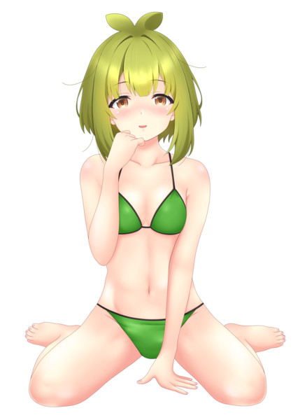 馬車芽めめ