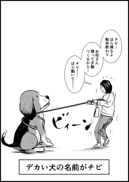 納得できないこと 55