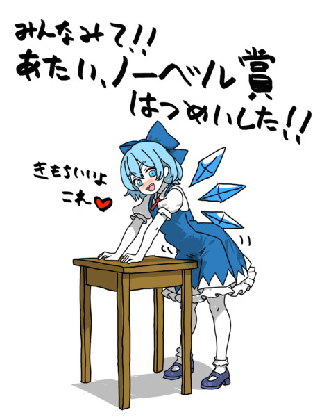 なにかを発明したチルノちゃん。