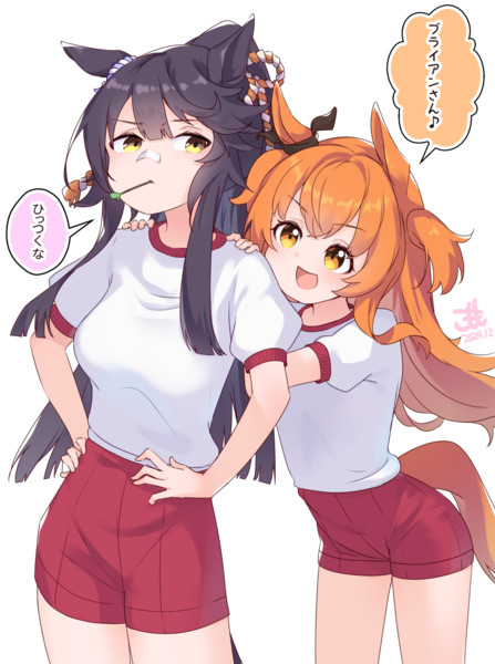 マヤブラ