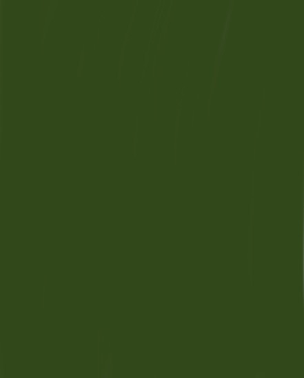 ダークグリーン