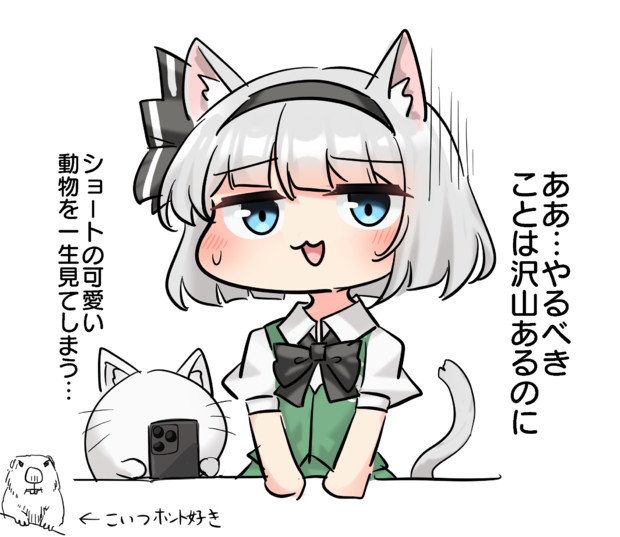 猫妖夢くん