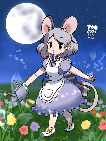 フクロミツスイちゃん