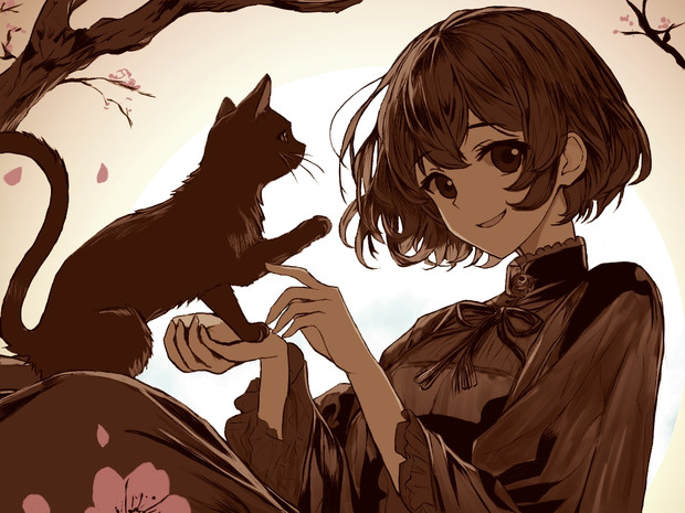 動物と遊ぼう(猫編）