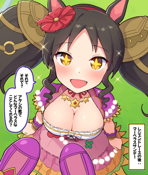 レジェンドレースの後：マーベラスサンデー