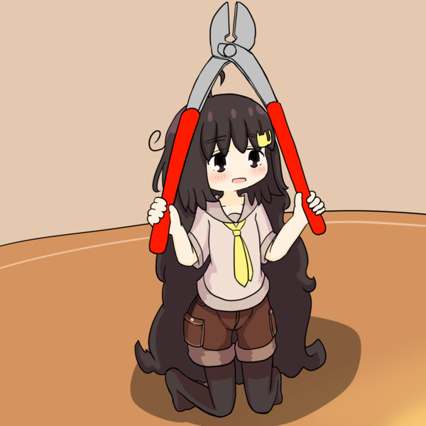 プライヤの日