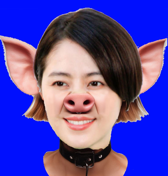 豚マサミbb