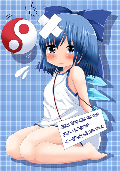【それでもあたいの活躍はとめられないぞ！】