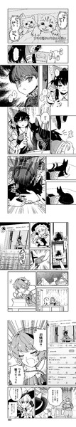 うちの猫がいちばん可愛い