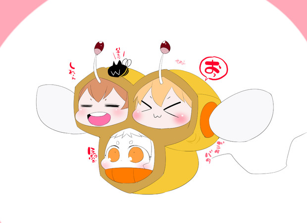 ドングリハニー
