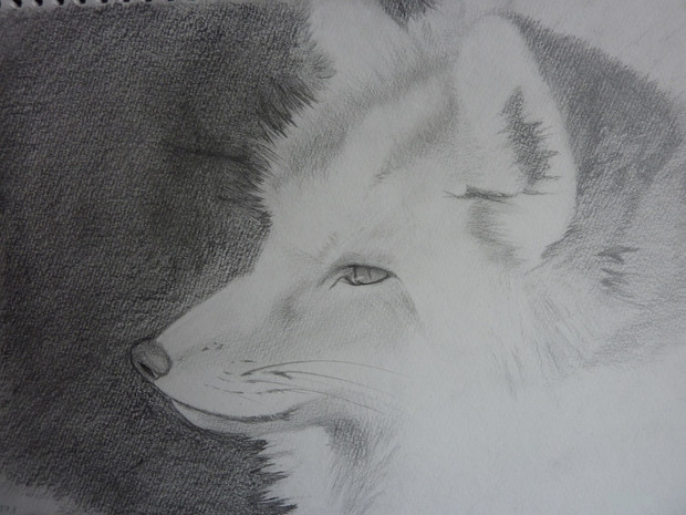 きつねさん チェンダー さんのイラスト ニコニコ静画 イラスト