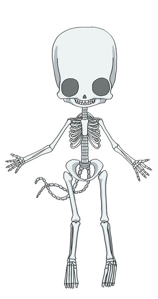 身ぐるみ剥いでみた 解剖学的な意味で よっち さんのイラスト ニコニコ静画 イラスト