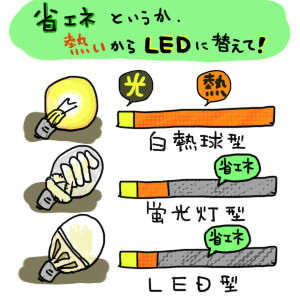 LED電球って、お高いんでしょ