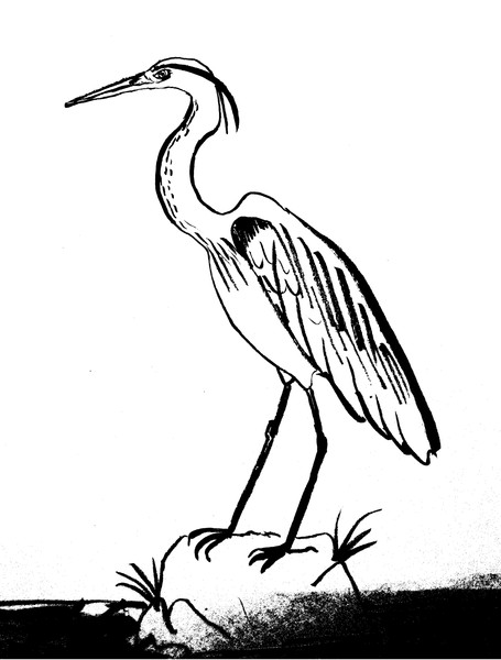 アオサギ ニコニコ静画 イラスト