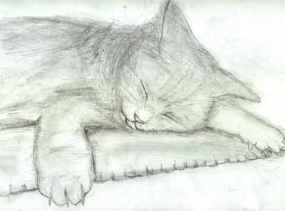 眠り猫 よっしー さんのイラスト ニコニコ静画 イラスト