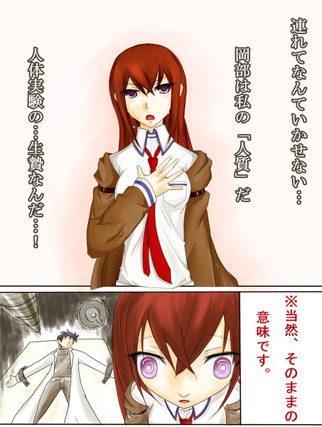Steins Gate Nicosub静画